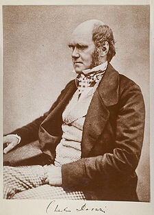 225px-Charles_Darwin_seated.jpg