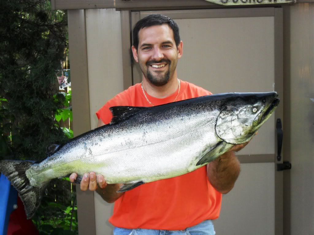 25lbKINGSALMON.jpg