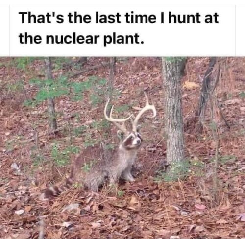 Image may contain: outdoor, text that says 'That's the last time I hunt at the nuclear plant.'