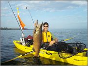 37inch_20lb_salmon.jpg