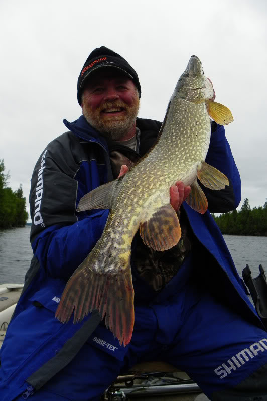 3pike.jpg