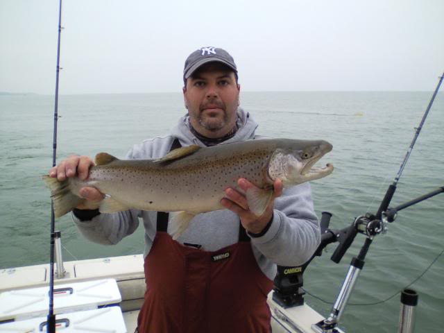 4-1-12brown2.jpg