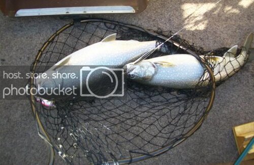5-4-13Double_zps88039ebc.jpg