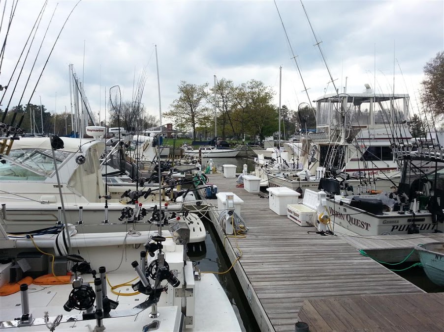 20130510_170717+%2528Medium%2529.jpg