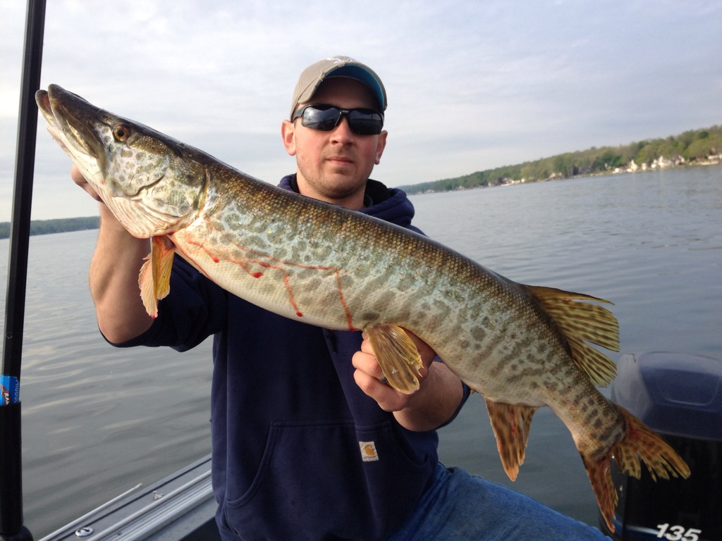Conesus Lake May 11 14 Musky, Tiger Musky & Pike (ESOX) Lake