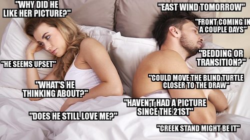 Image may contain: one or more people, meme and text