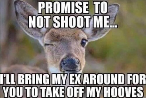 Image may contain: meme and text