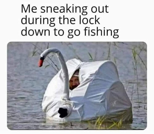 Image may contain: 1 person, possible text that says 'Me sneaking out during the lock down to go fishing'