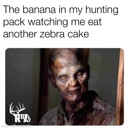 Image may contain: 1 person, text that says 'The banana in my hunting pack watching me eat another zebra cake ROA made-with-mematic'