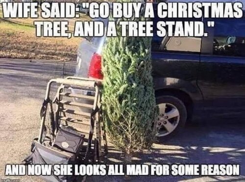 Image may contain: meme, text that says 'WIFE SAID GO BUYA CHRISTMAS TREE, AND ATREE STAND." AND NOW SHE LOOKS ALL MADFOR FOR SOME REASON'