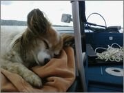 Alvin_napping_at_25_knots_on_Owasco.jpg