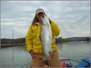 April_15_Cayuga_south.jpg