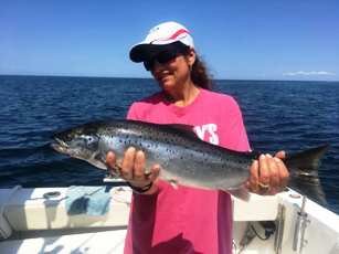 Atlantic-Salmon-Troy.jpg
