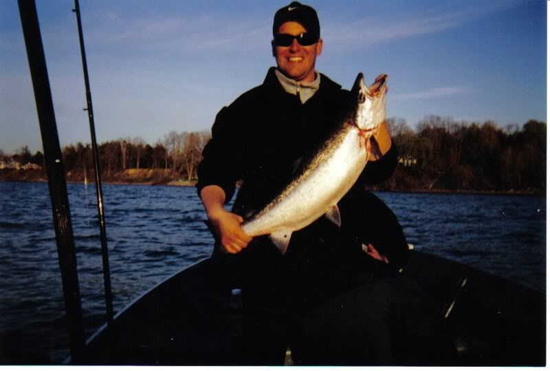 AtlanticSalmon.jpg