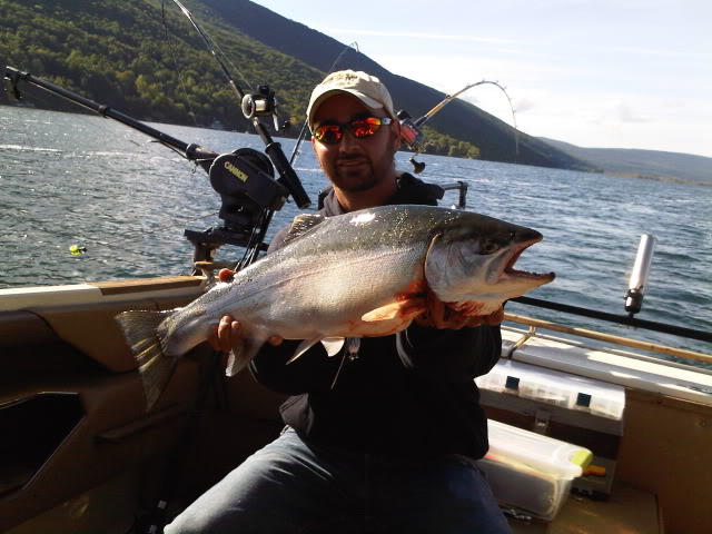 BigBow1.jpg