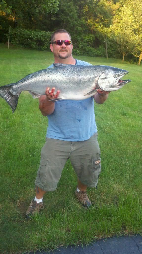 BigSalmon.jpg
