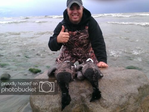 Brant_zps614c417c.jpg
