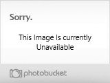 Bushwhackthis.jpg