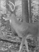 CDY_0006_2.jpg