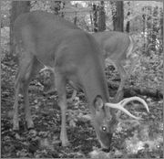 CDY_0008_2.jpg