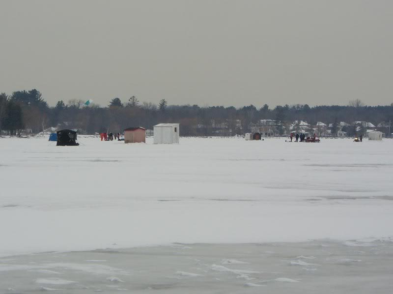 CIMG0541.jpg