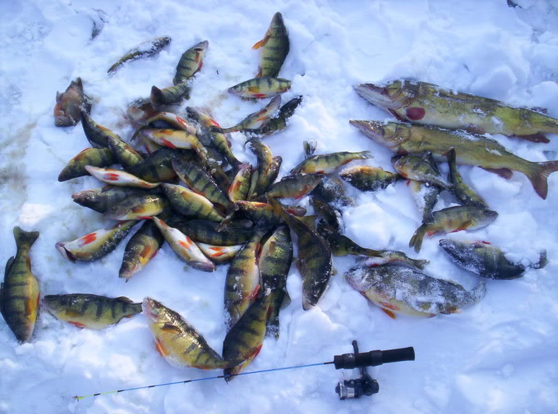 Cayugaice2-19-07082.jpg