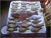 Chaumon021912_20120220_00069_1.jpg