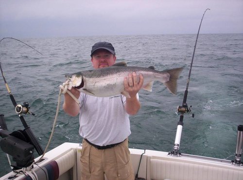 Coho.jpg