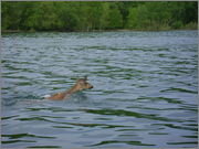 DSC00113.jpg