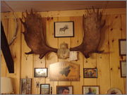 DSC00163.jpg