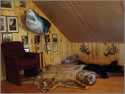 DSC00168.jpg