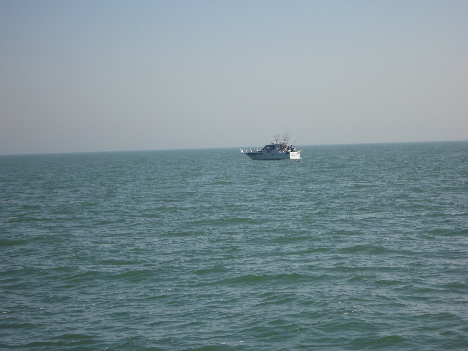 DSC00202.jpg