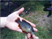 DSC00834.jpg