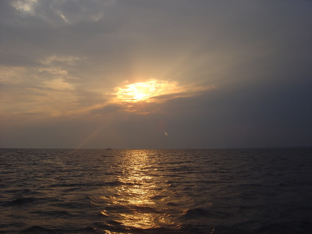 DSC01993.jpg