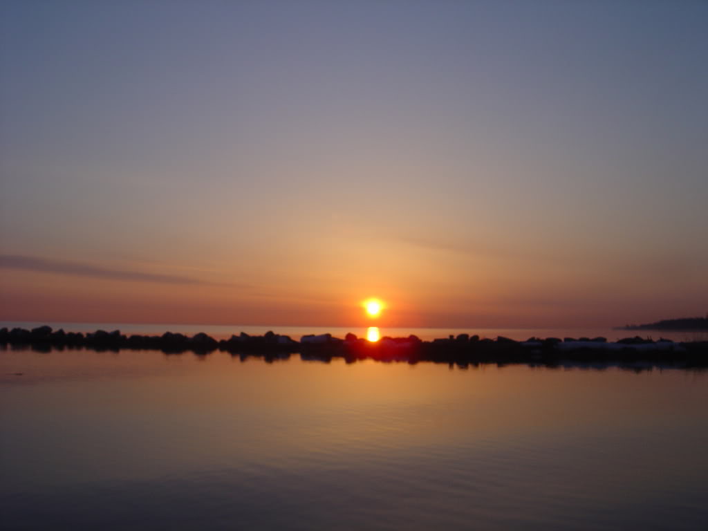 DSC02234.jpg