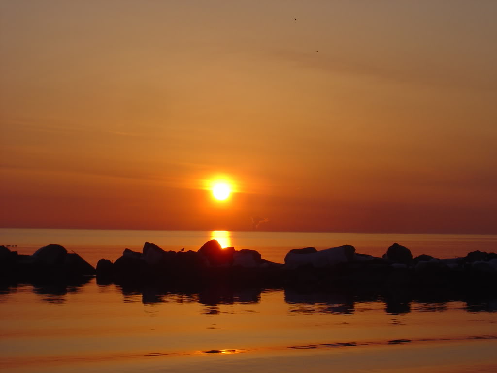 DSC02235.jpg
