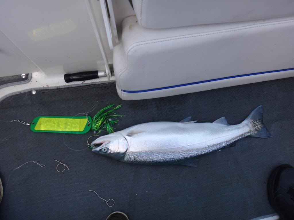DSC03205_zps16d0db03.jpg