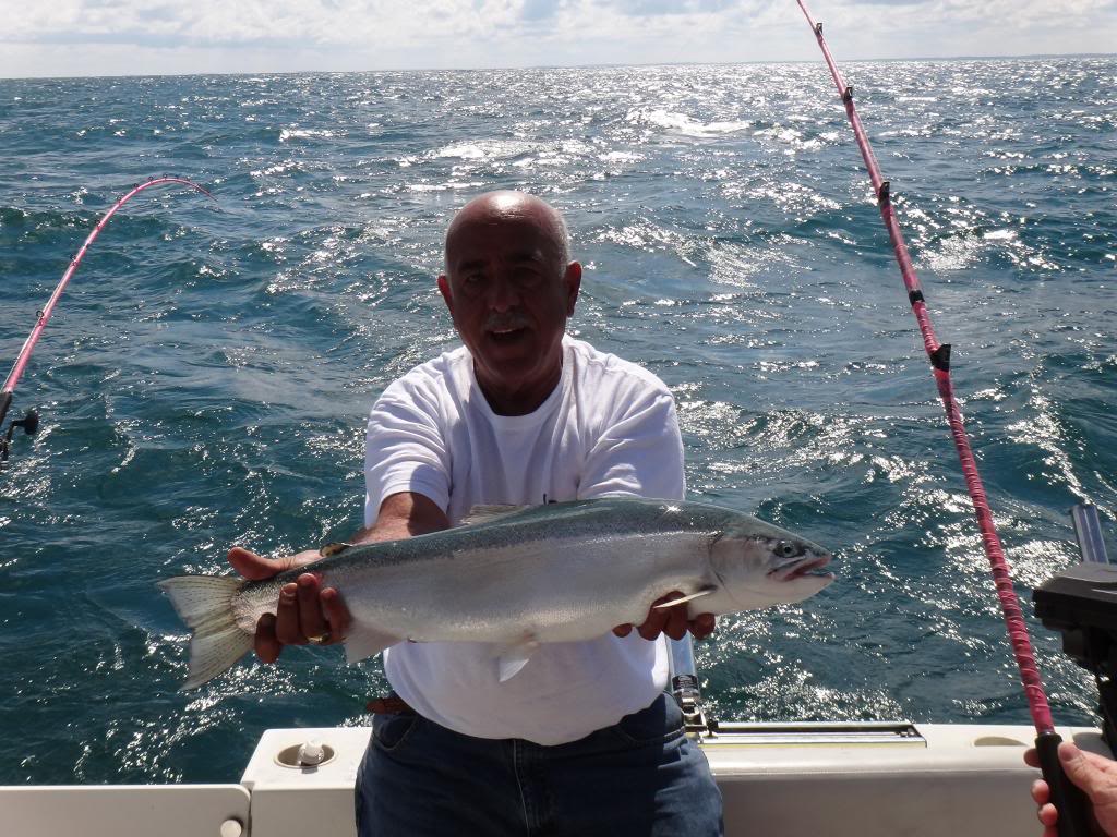 DSC03207_zps66305cb1.jpg