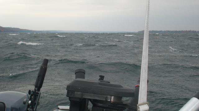 DSC03329.jpg