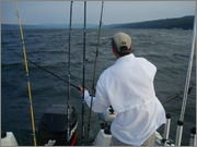 DSC04342.jpg