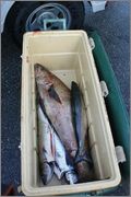 DSC04965_2.jpg