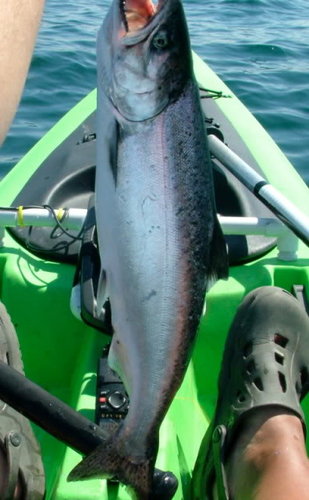 DSCF5290.jpg