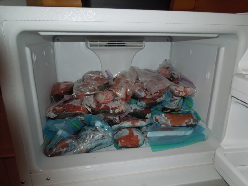 DSCN0220.jpg