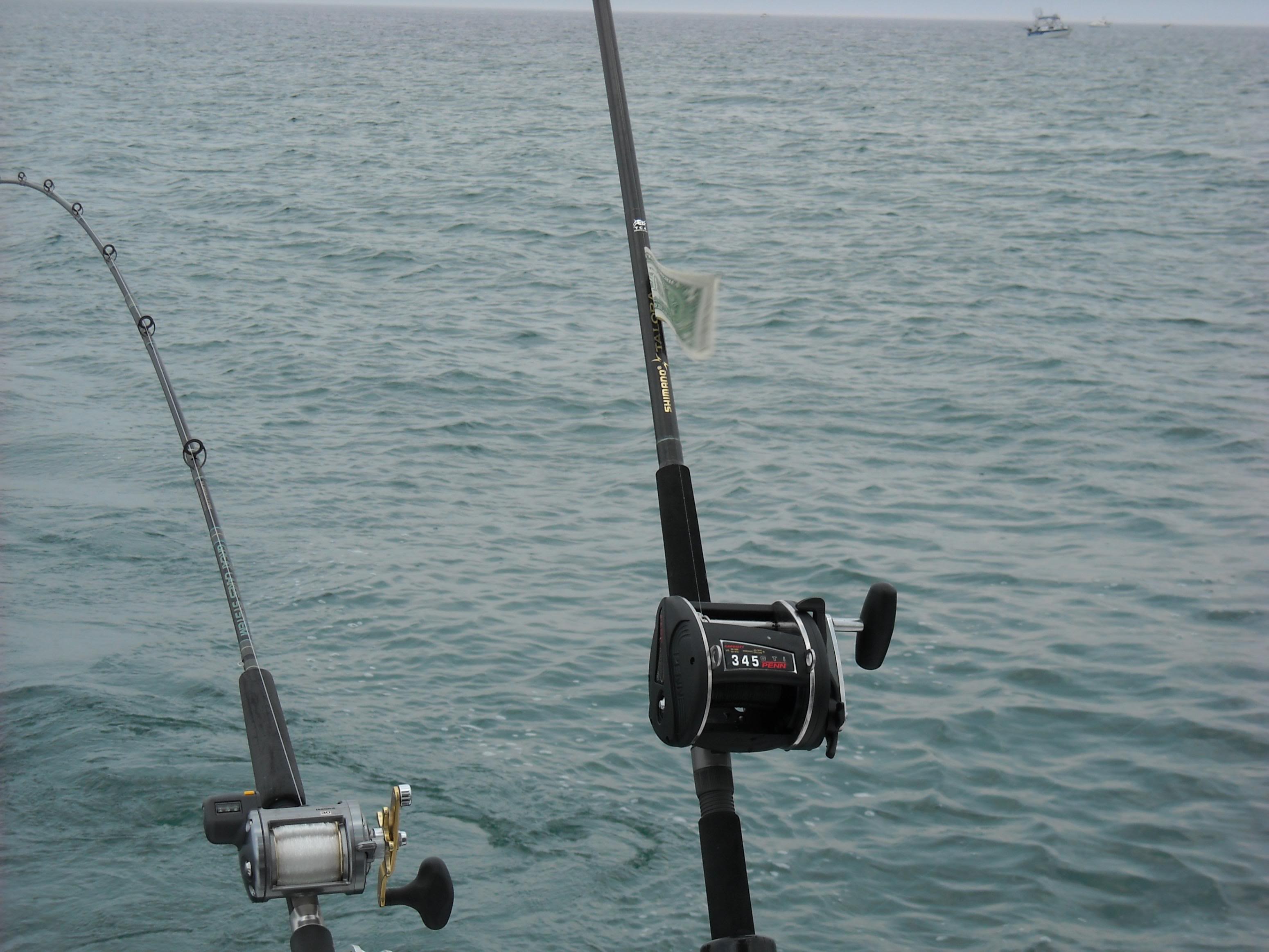 DSCN0682.jpg