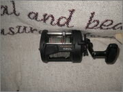 DSCN0774.jpg