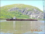 DSCN0993.jpg