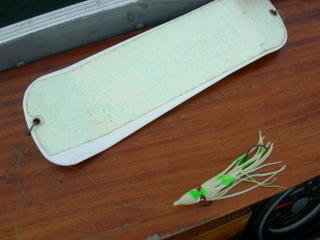 DSCN1410.jpg