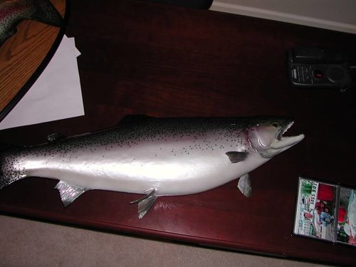 DSCN2252.jpg