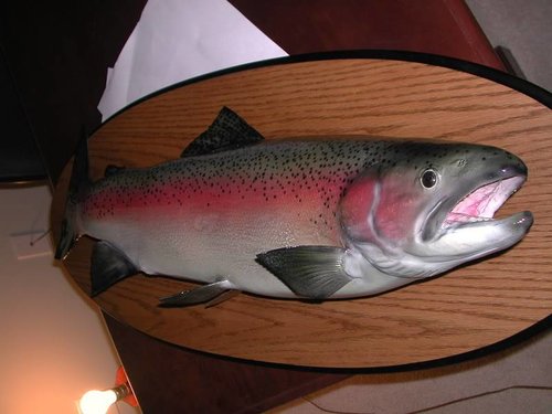 DSCN2257.jpg