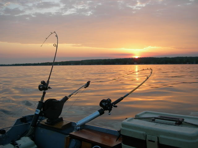 DSCN2678.jpg